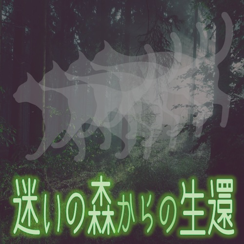 迷いの森からの生還