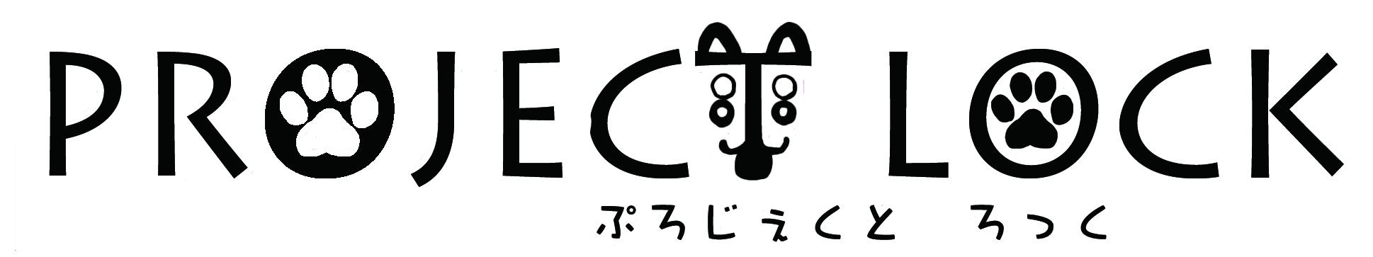 PROJECT LOCK